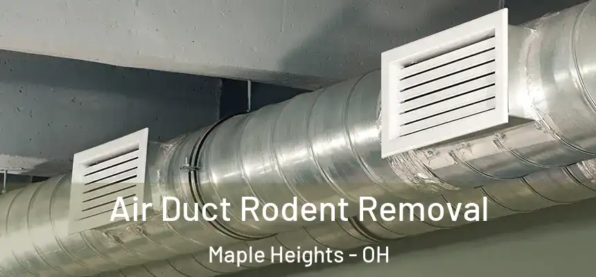  Air Duct Rodent Removal Maple Heights - OH