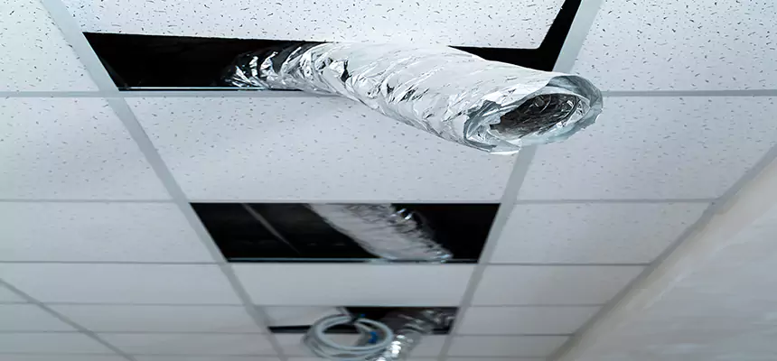 Affordable HVAC Sanitizing After Pest Removal in Maple Heights