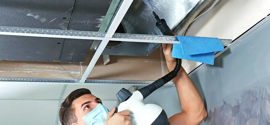 Our Air Duct Rodent Removal Services in Maple Heights, OH