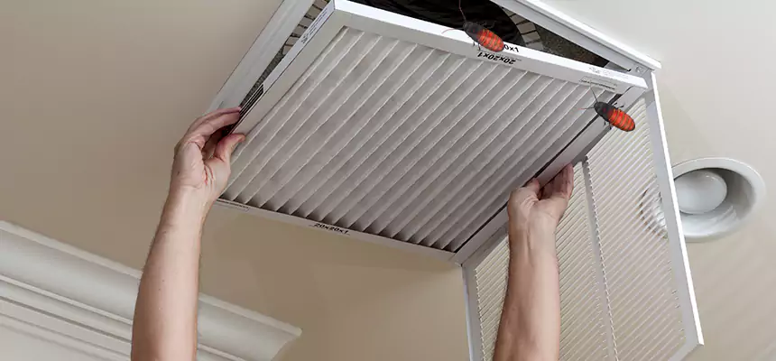 Our Insect Removal from Air Ducts Services in Maple Heights, OH