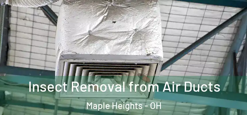 Insect Removal from Air Ducts Maple Heights - OH