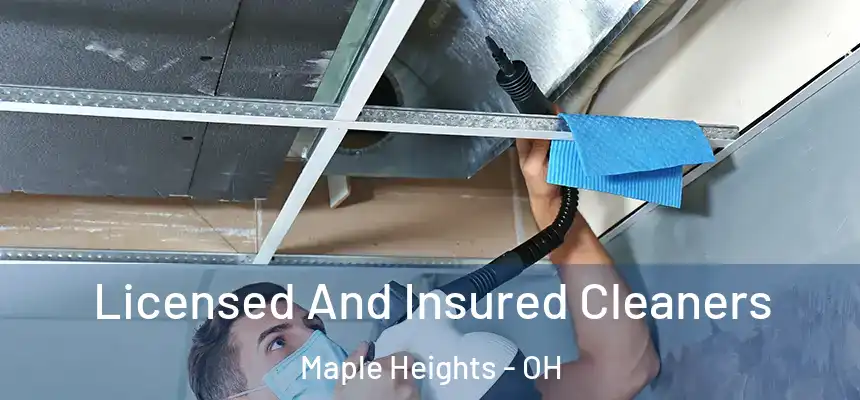 Licensed And Insured Cleaners Maple Heights - OH