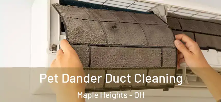 Pet Dander Duct Cleaning Maple Heights - OH