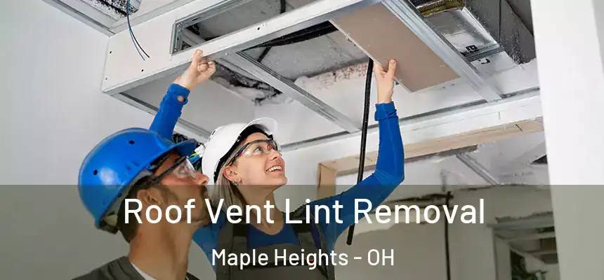  Roof Vent Lint Removal Maple Heights - OH