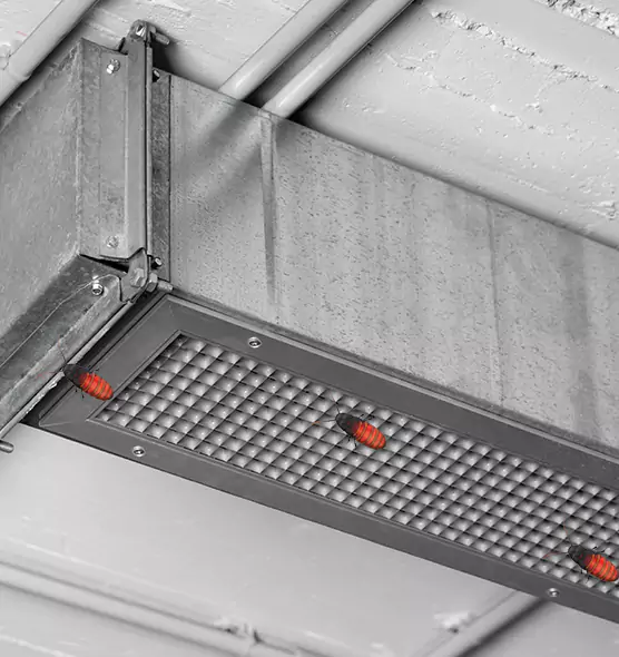 Affordable Insect Removal from Air Ducts in Maple Heights, OH